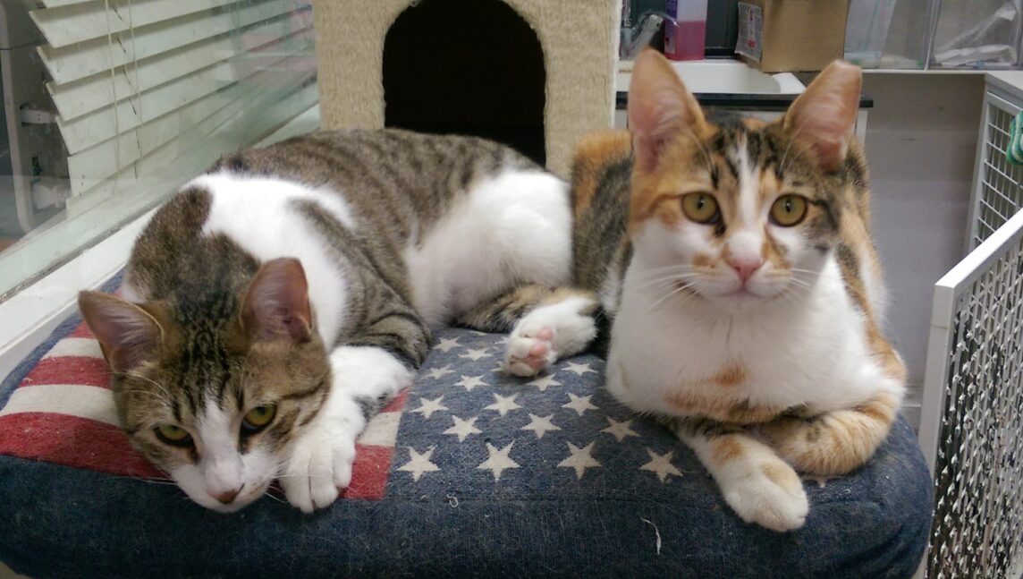 Neue Biomarker – ist das die Lösung ?